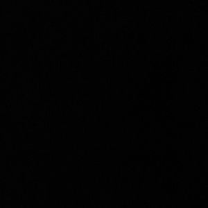 Meet your Posher, Ava